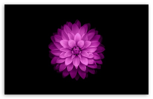 Apple Ios Ultra Hd Desktop Background Wallpaper For 4k Uhd Tv Widescreen Ultrawide Desktop Laptop Tablet Smartphone