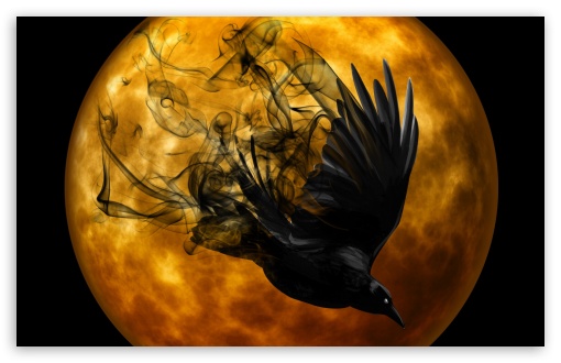 Over the course of the war, galm team shot down a considerable … Halloween Raven Ultra Hd Desktop Background Wallpaper For 4k Uhd Tv Widescreen Ultrawide Desktop Laptop Tablet Smartphone