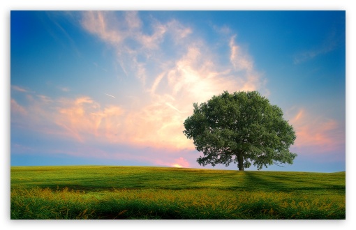 One Tree Hill ❤ ４Ｋ ＵＨＤ Wallpaper for Wide 16:10 5:3 Widescreen WHXGA WQXGA WUXGA WXGA WGA ; 4K UHD 16:9 Ultra High Definition 2160p 1440p 1080p 900p 720p ; Standard 4:3 5:4 3:2 Fullscreen UXGA XGA SVGA QSXGA SXGA DVGA HVGA HQVGA ( Apple PowerBook G4 iPhone 4 3G 3GS iPod Touch ) ; Tablet 1:1 ; iPad 1/2/Mini ; Mobile 4:3 5:3 3:2 16:9 5:4 - UXGA XGA SVGA WGA DVGA HVGA HQVGA ( Apple PowerBook G4 iPhone 4 3G 3GS iPod Touch ) 2160p 1440p 1080p 900p 720p QSXGA SXGA ;