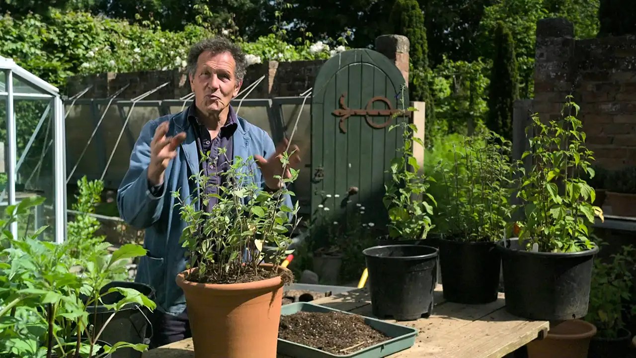 Gardeners World 2023 episode 12 — HDclump
