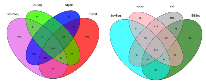 Bulk Rnaseq Data Analysis Rnaseq Count Matrix - Download Stunning Minimal Picture | Retina