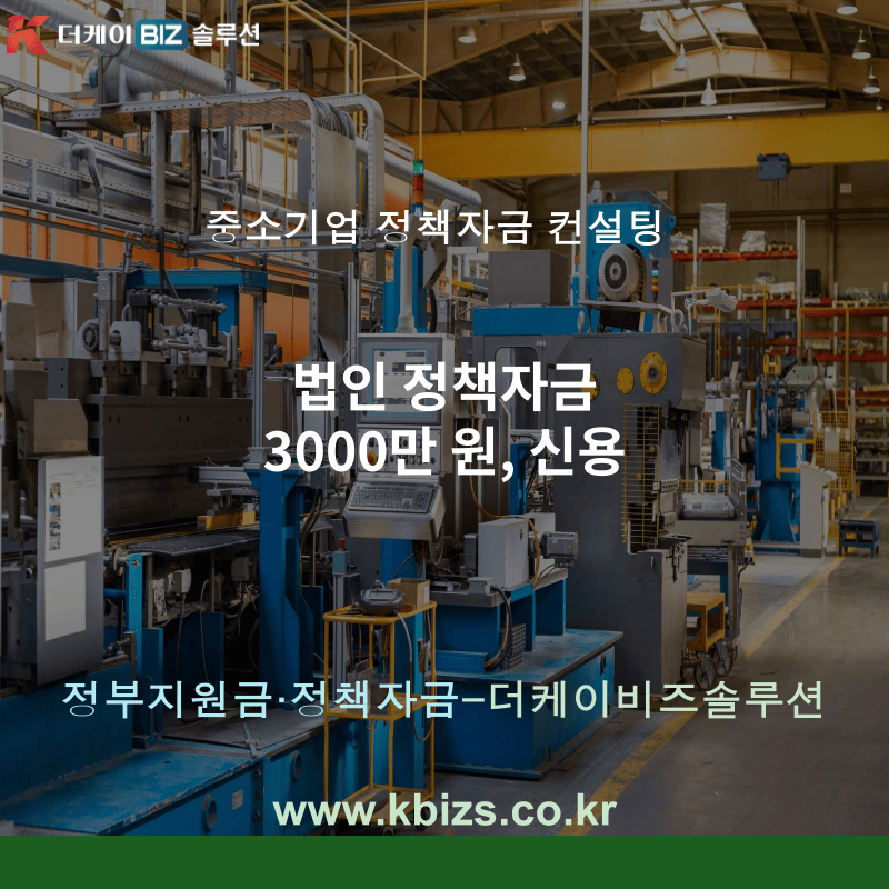 법인 정책자금 3000만 원, 신용