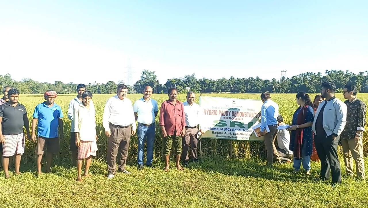 আগষ্ট মাসের বন্যার প্রবল জলস্রোতে ক্ষতির সন্মুখিন হয়েছে কৃষকরা। 