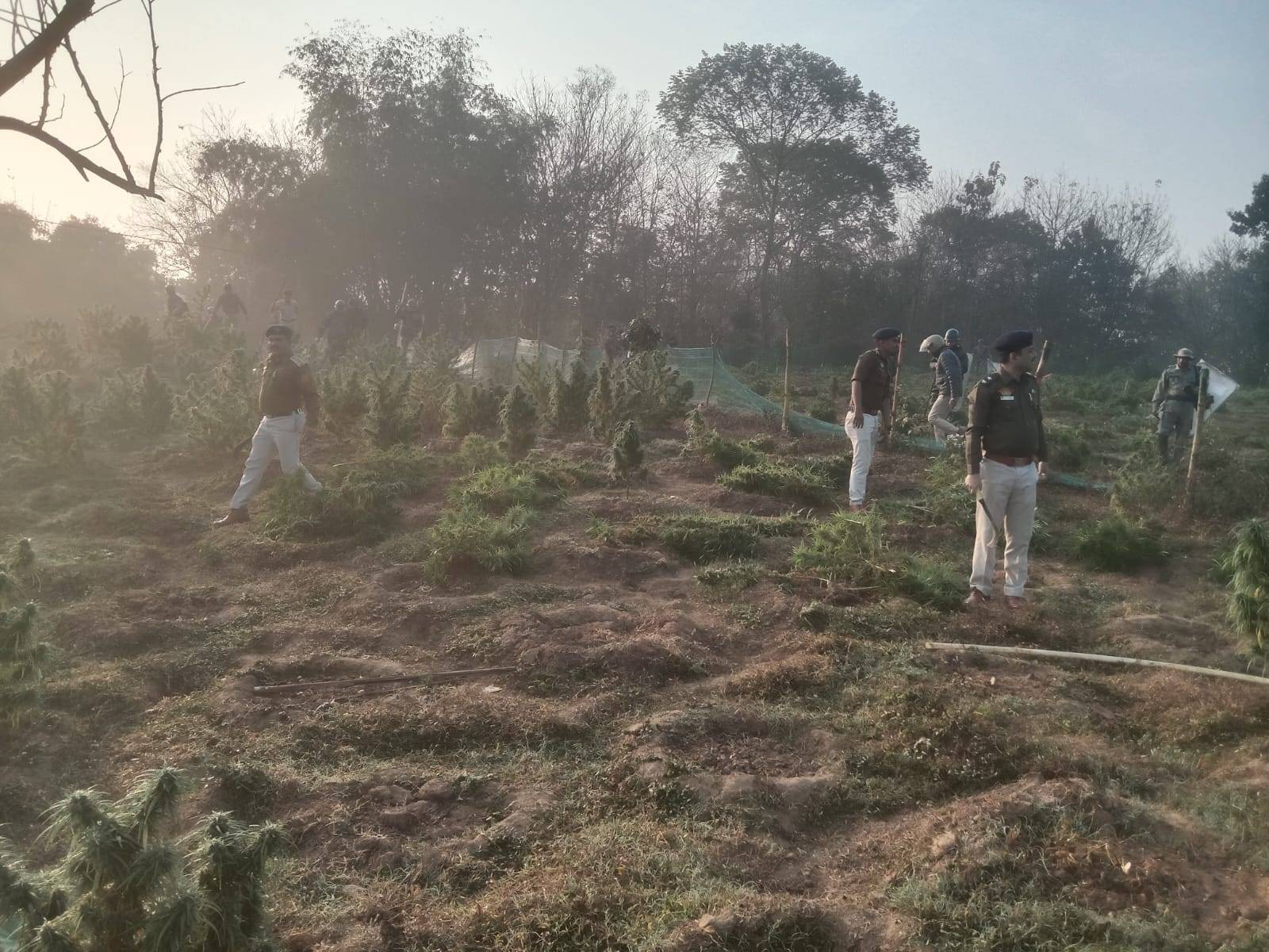 নেশা বিরোধী অভিযানে বোধজংনগর থানার অন্তর্গত রাজচনতাই এলাকায় সাফল্য পেল পুলিশ। 