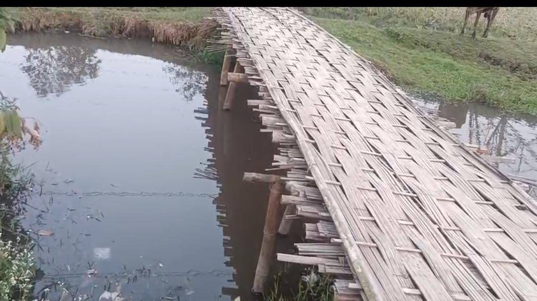 কাঞ্চনমালা ১ নং ওয়ার্ডের বগারচতল এলাকায় মানুষের চলাচলের জন্য একমাত্র ভরসা বাঁশের সাঁকো। 