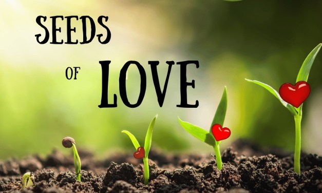 Seeds of Love