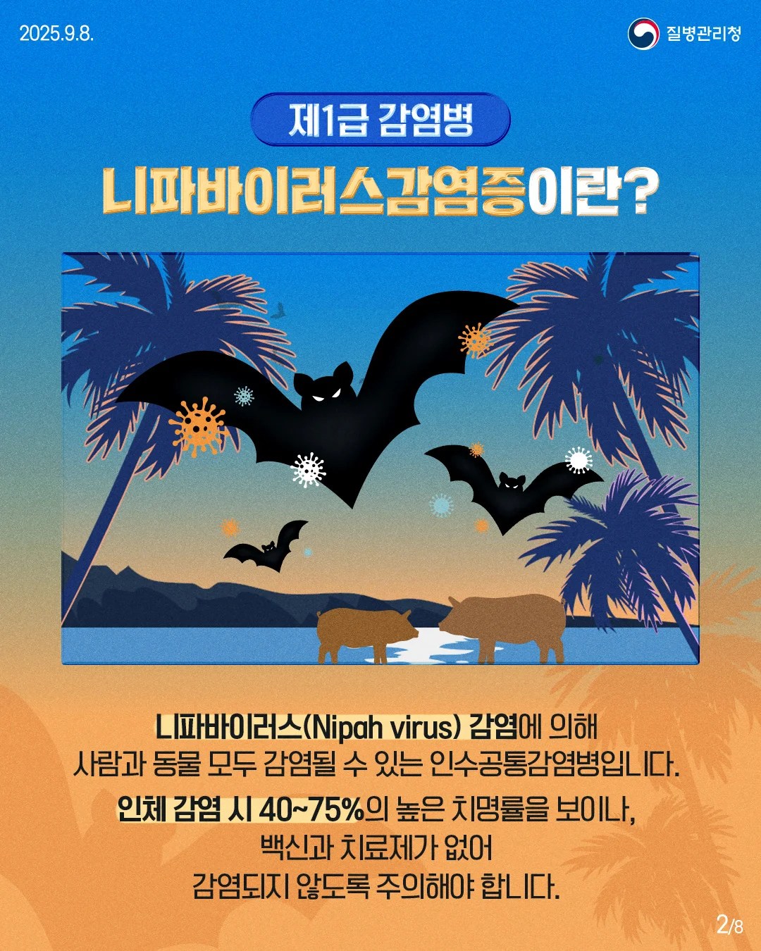제 1급 법정감염병, 니파 바이러스 감염증 인포그래픽