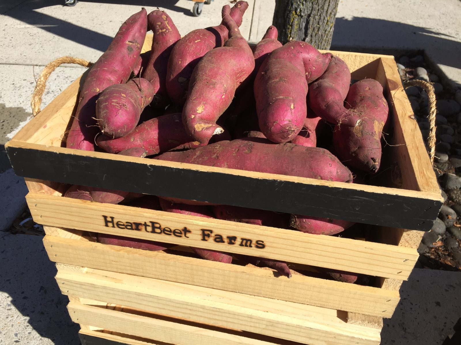 Japanese sweet potato soup