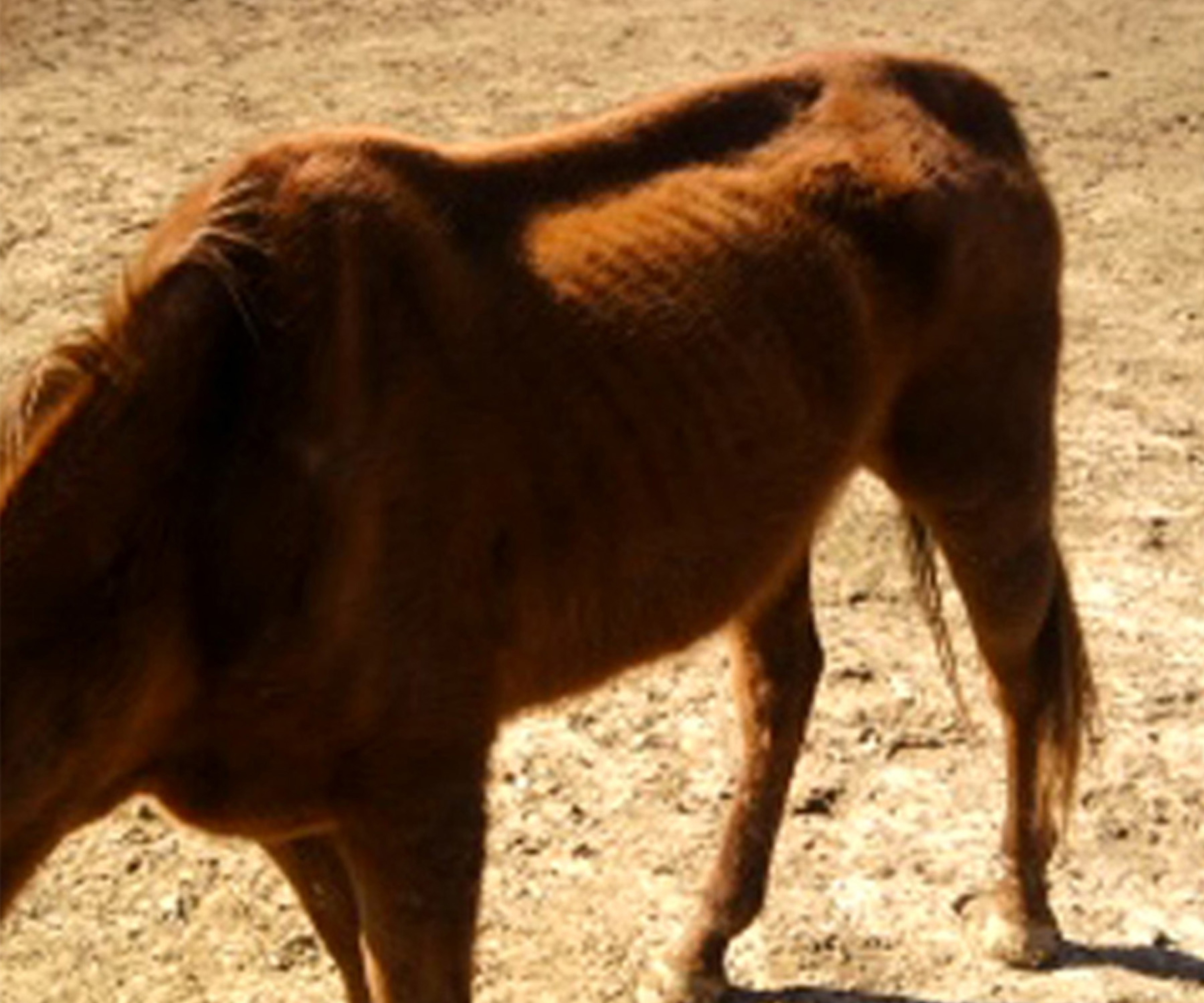 katebeforeafter