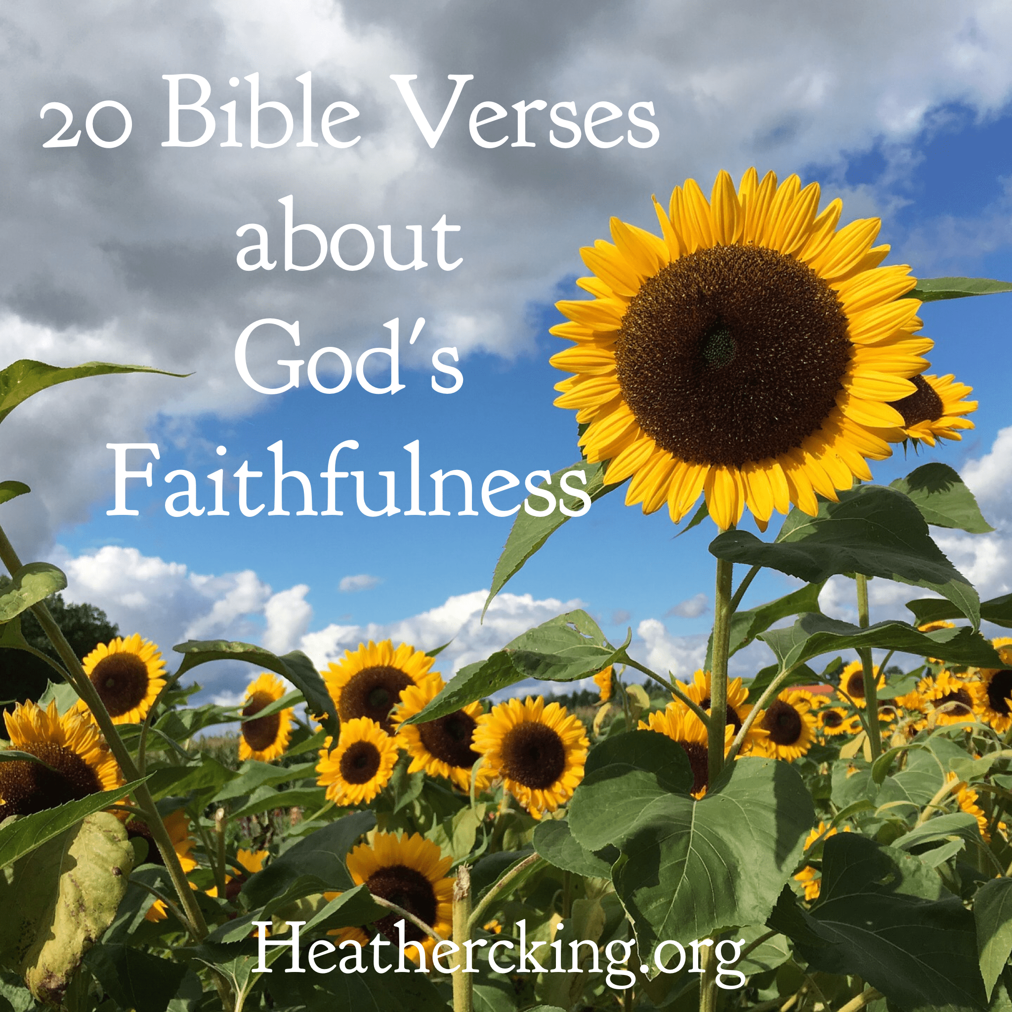 Fantastic prices on framed prints. 20 Verses To Remind You Of God S Faithfulness Heather C King Room To Breathe