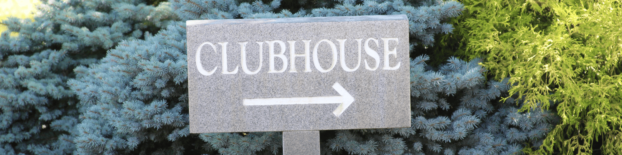 Clubhouse Bio Tips