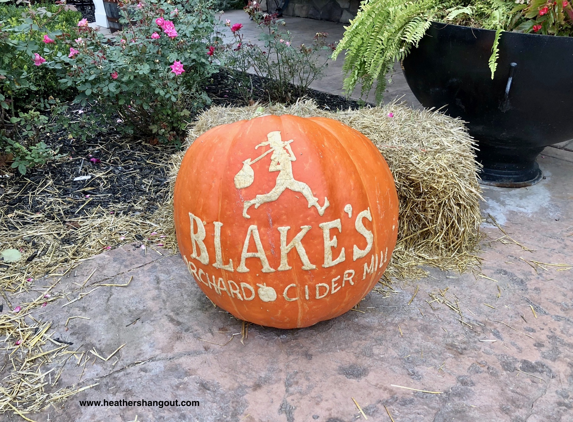 Welcoming fall at Blake’s Cider Mill