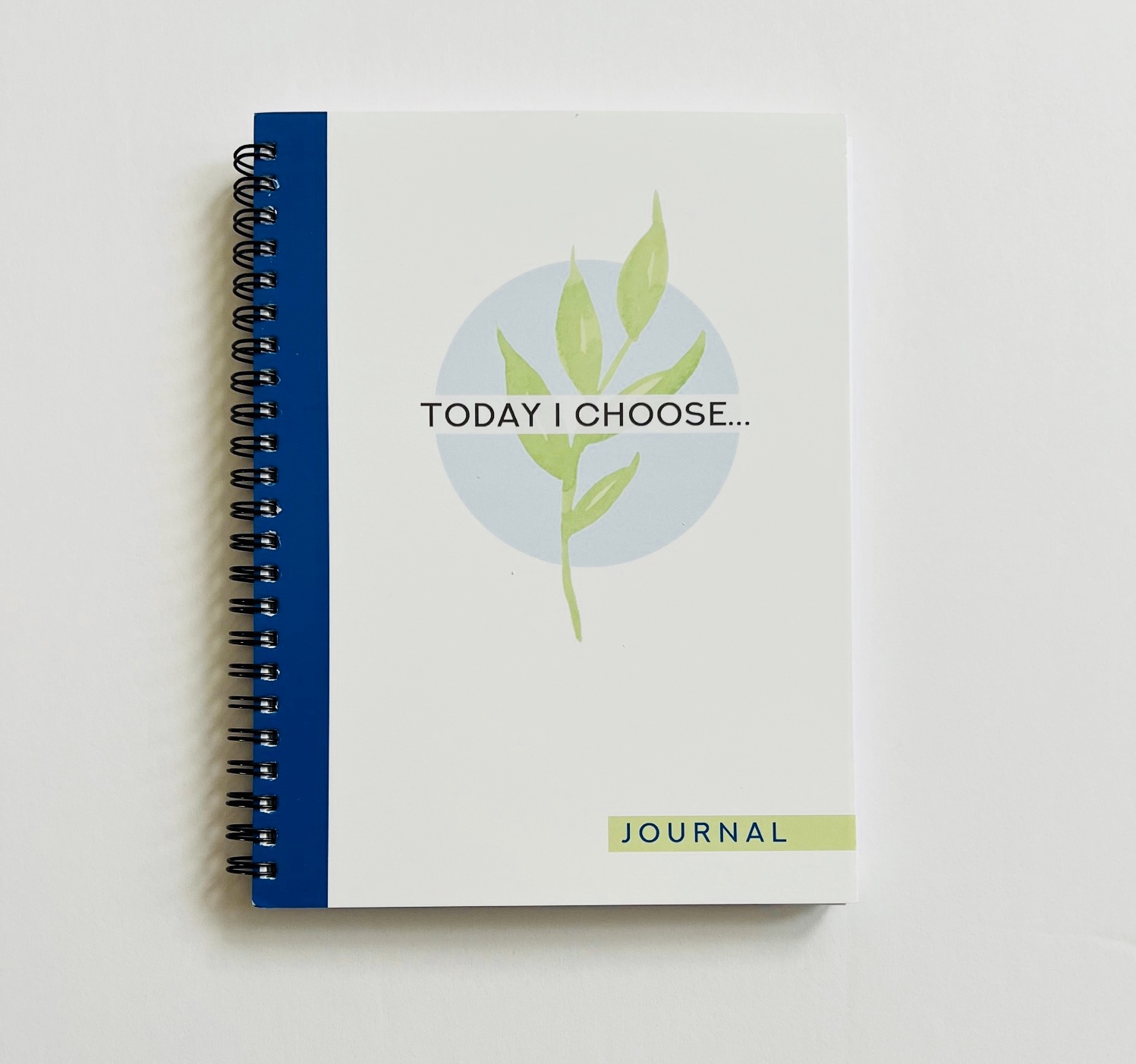 Today I Choose journal