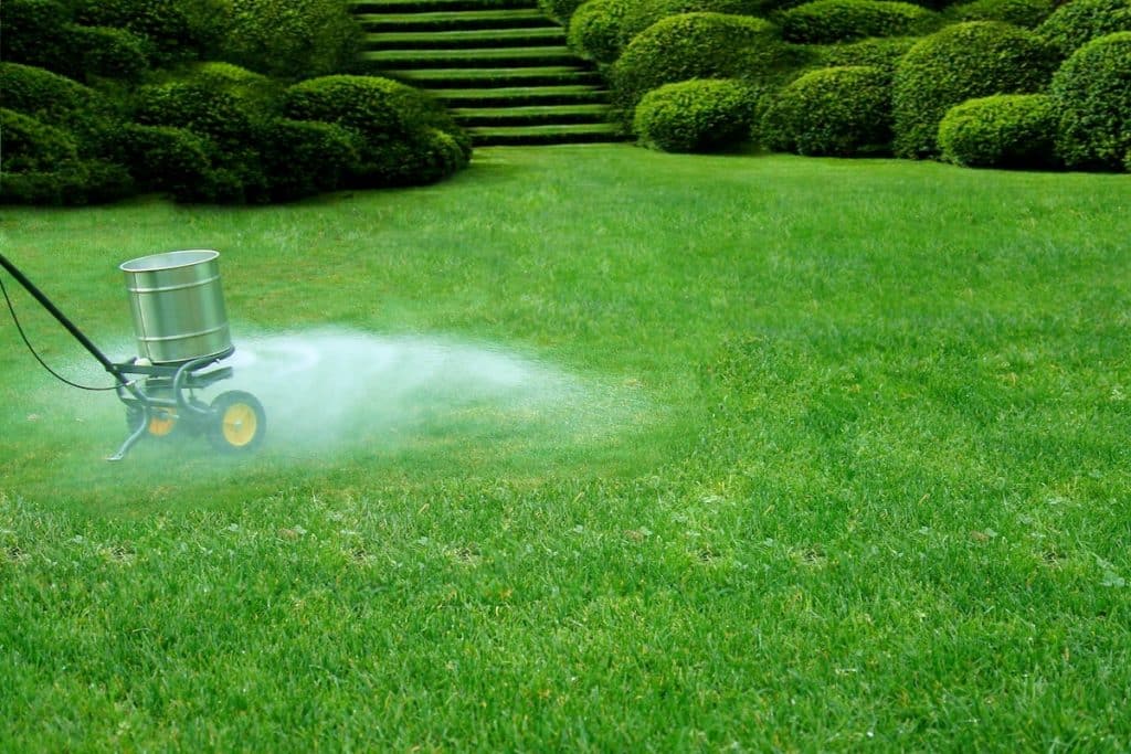 lawn fertilizing