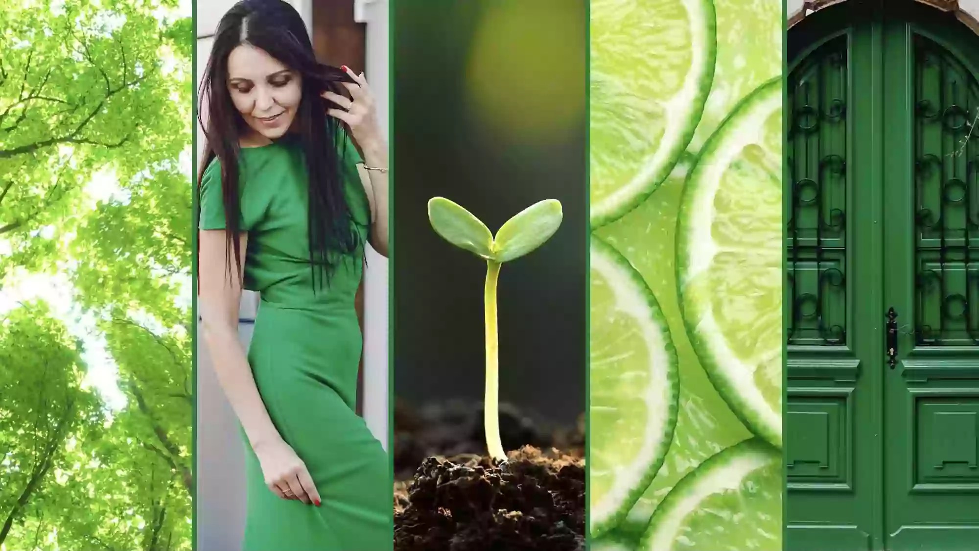 Picture of trees, lady in green dress, green shoot, limes, and a green door