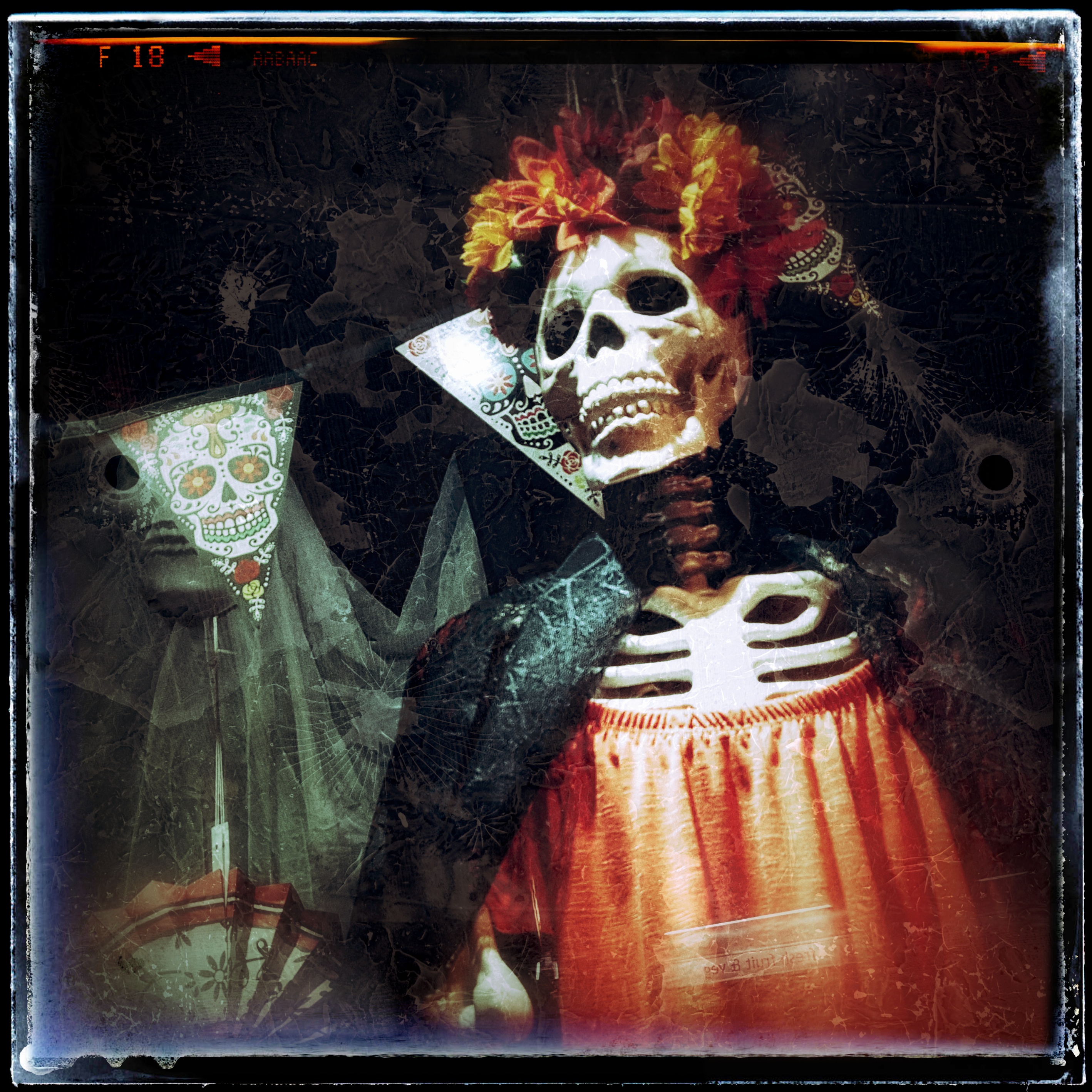 Skeleton Window by Chris Johnson-Standley