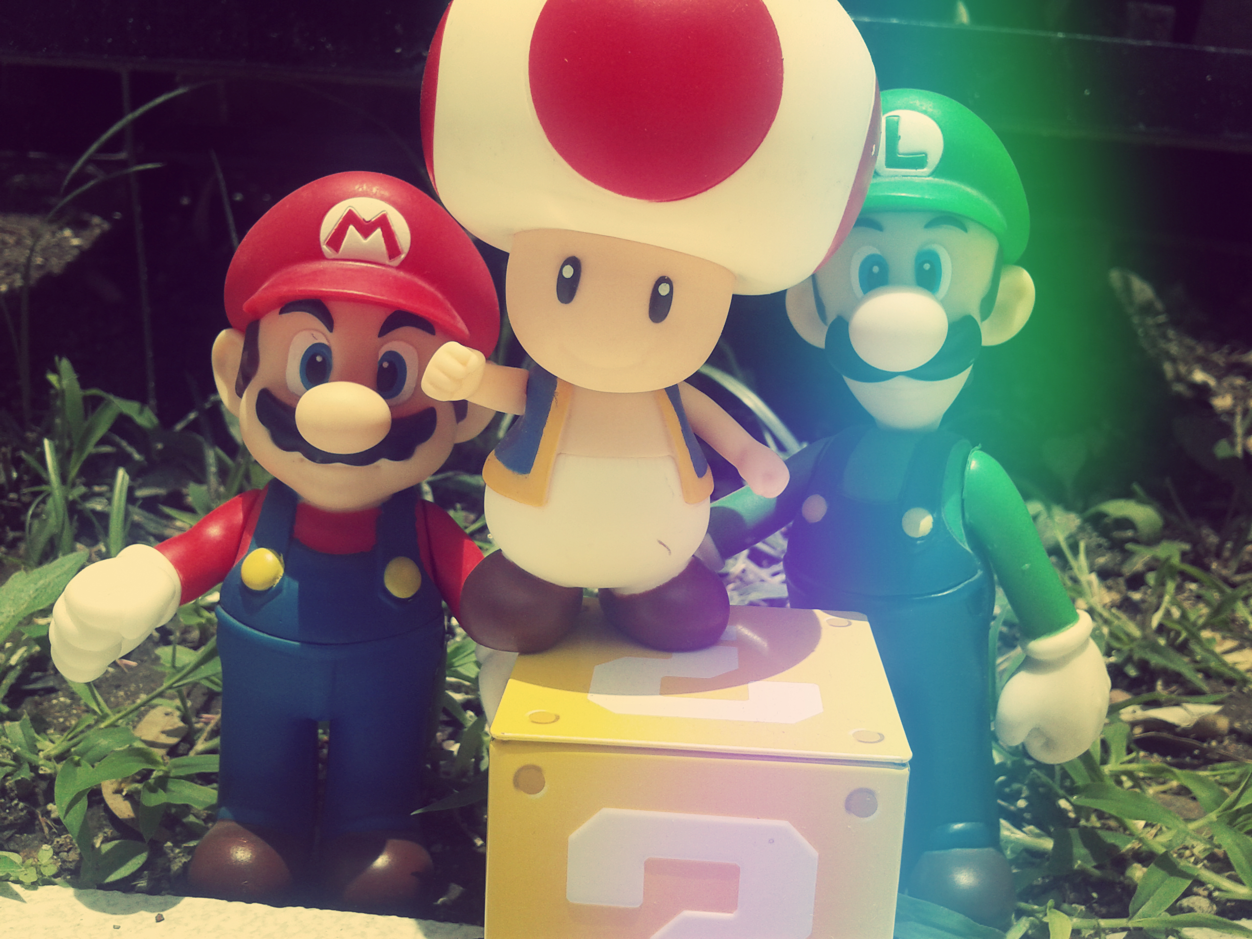 Mario, Luigi y Tod