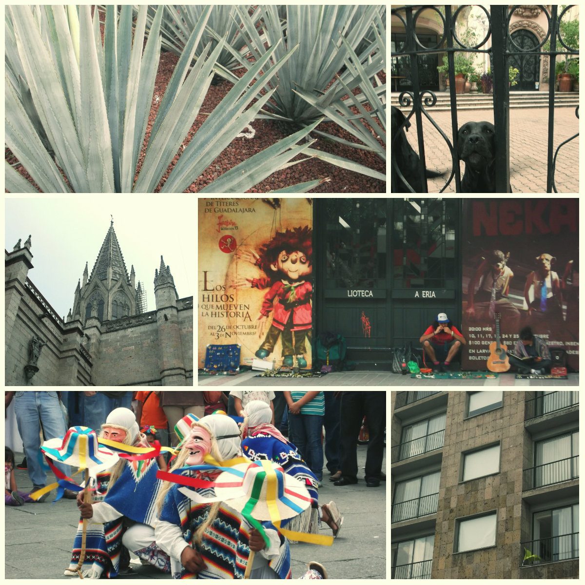 guadalajara1
