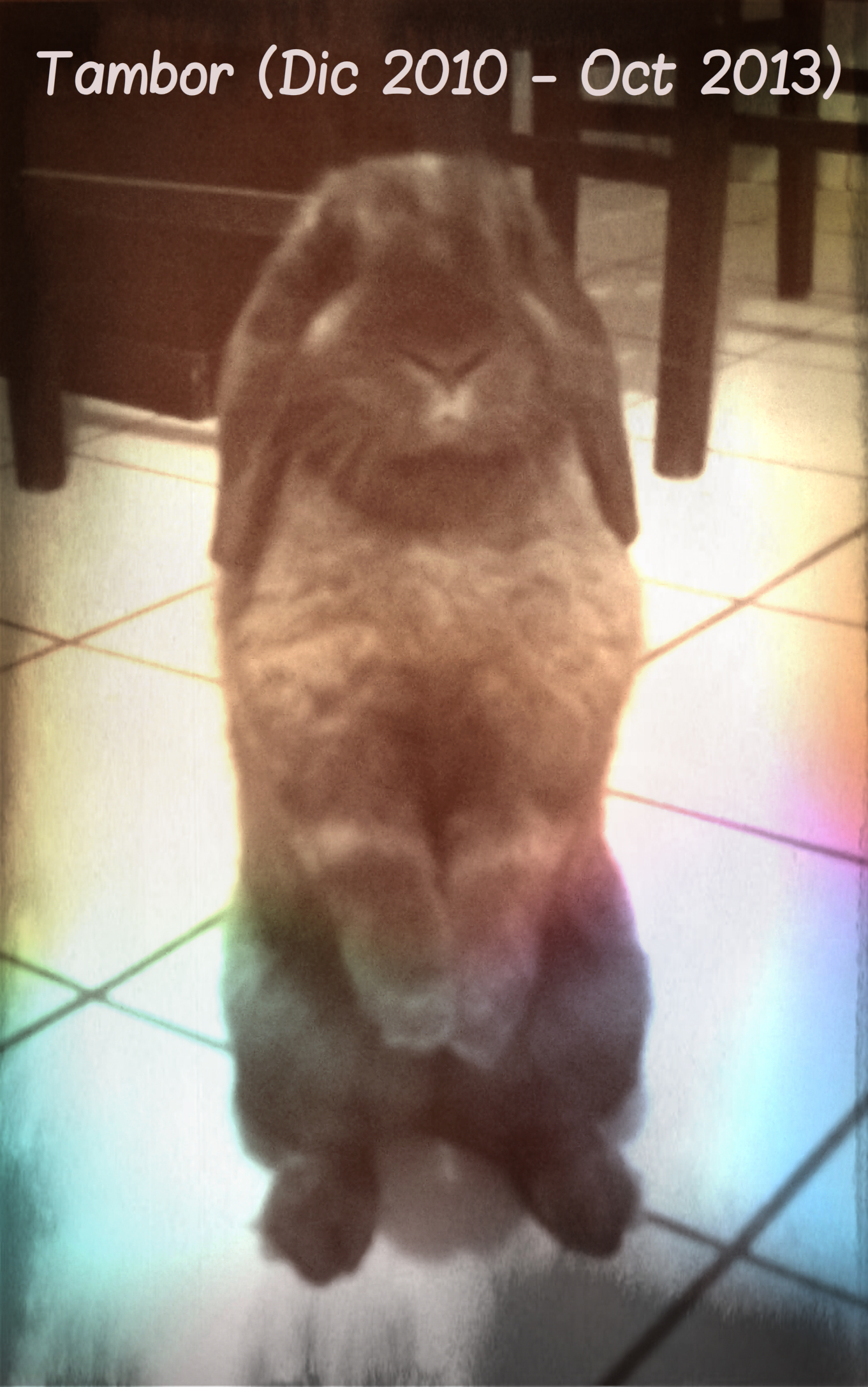 tambor