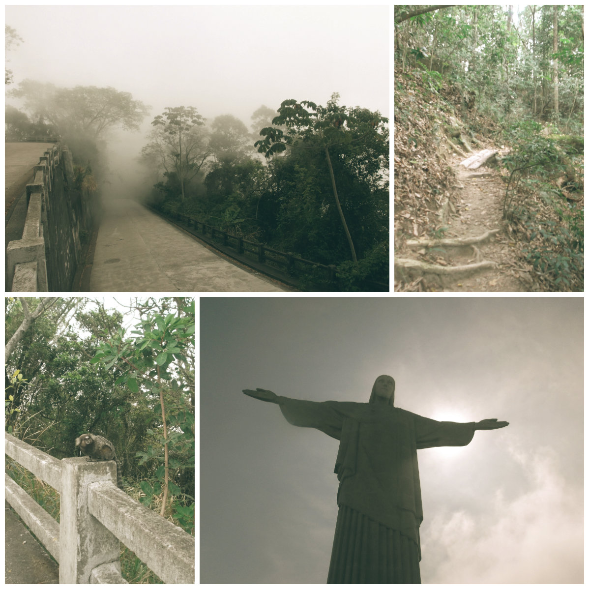 rio5