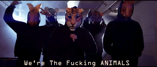 martingarrixanimals