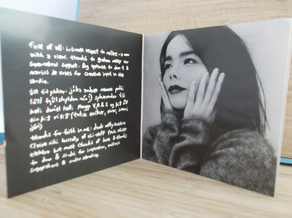 Bjork3