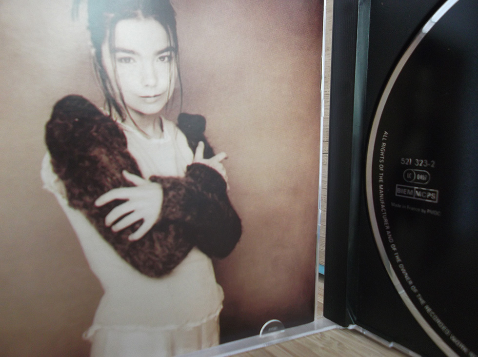 Bjork6