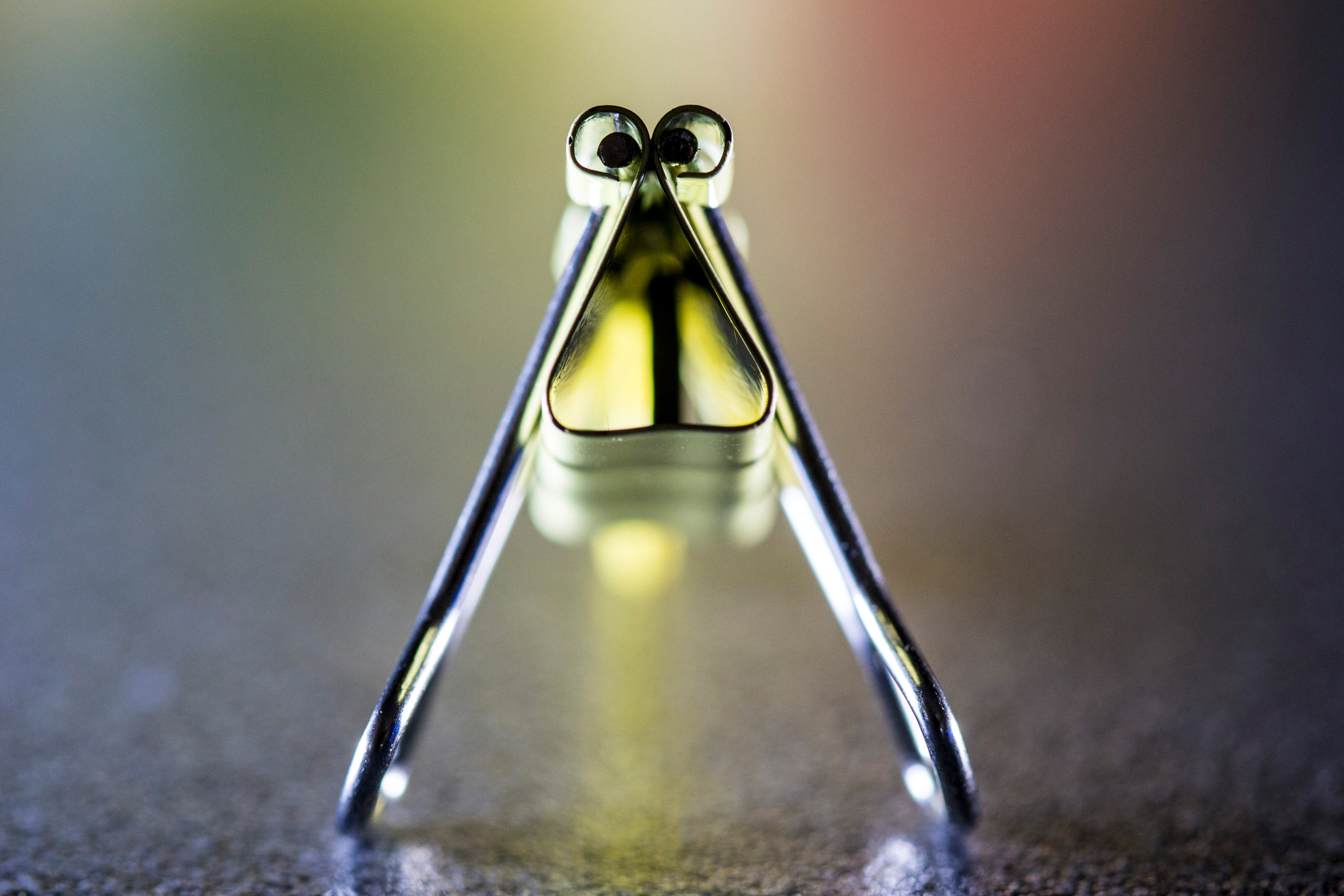 Ribbit Ribbit RPS DIG 21