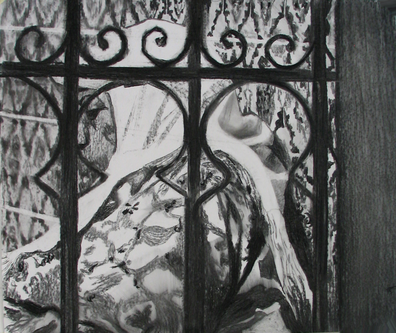 D. T., 2007, fusain sur papier, 100 x 100 cm