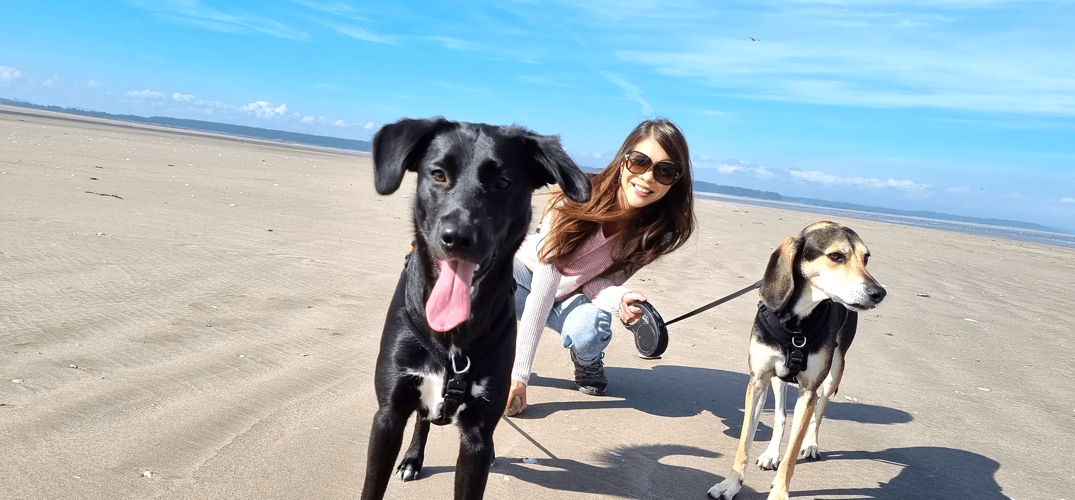 Girl and two dogs on a beach