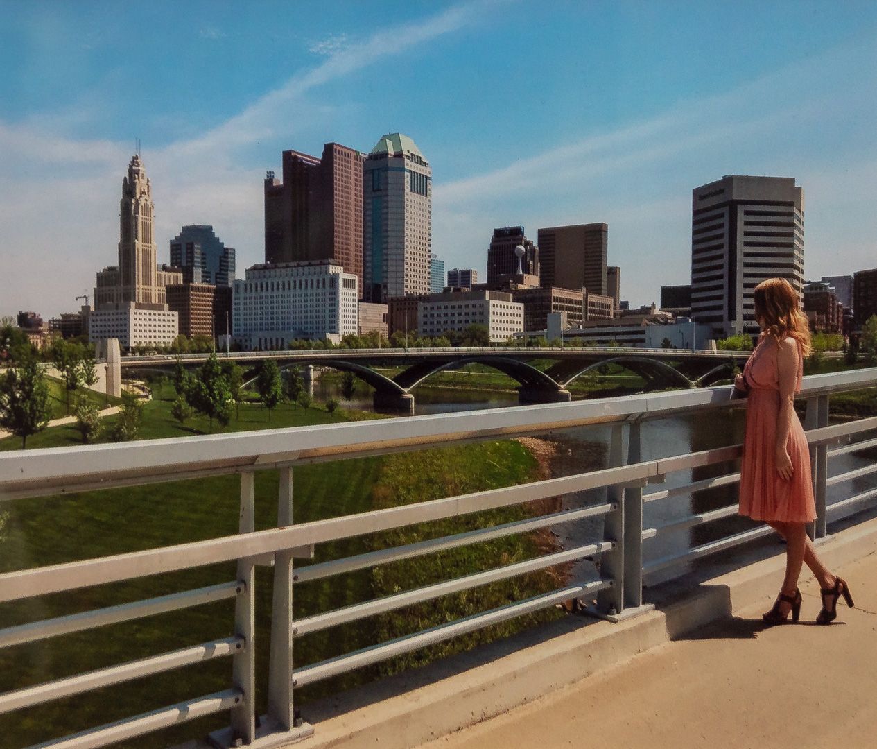 Art Gallery Heights Libraries