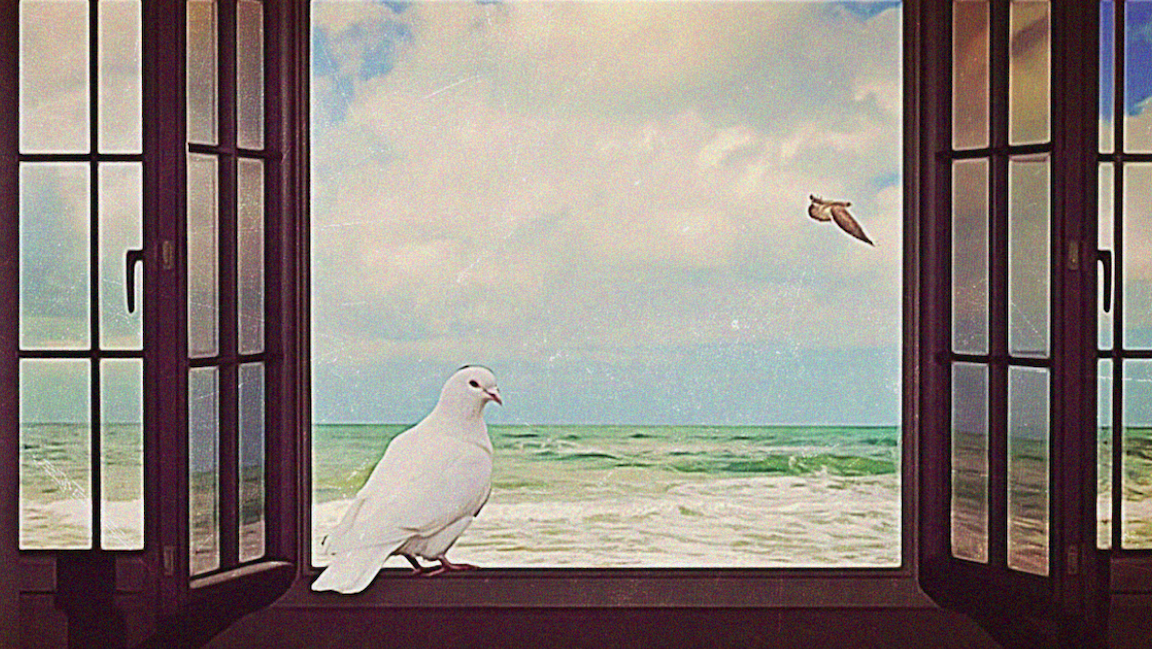 Opening The Pullback Window