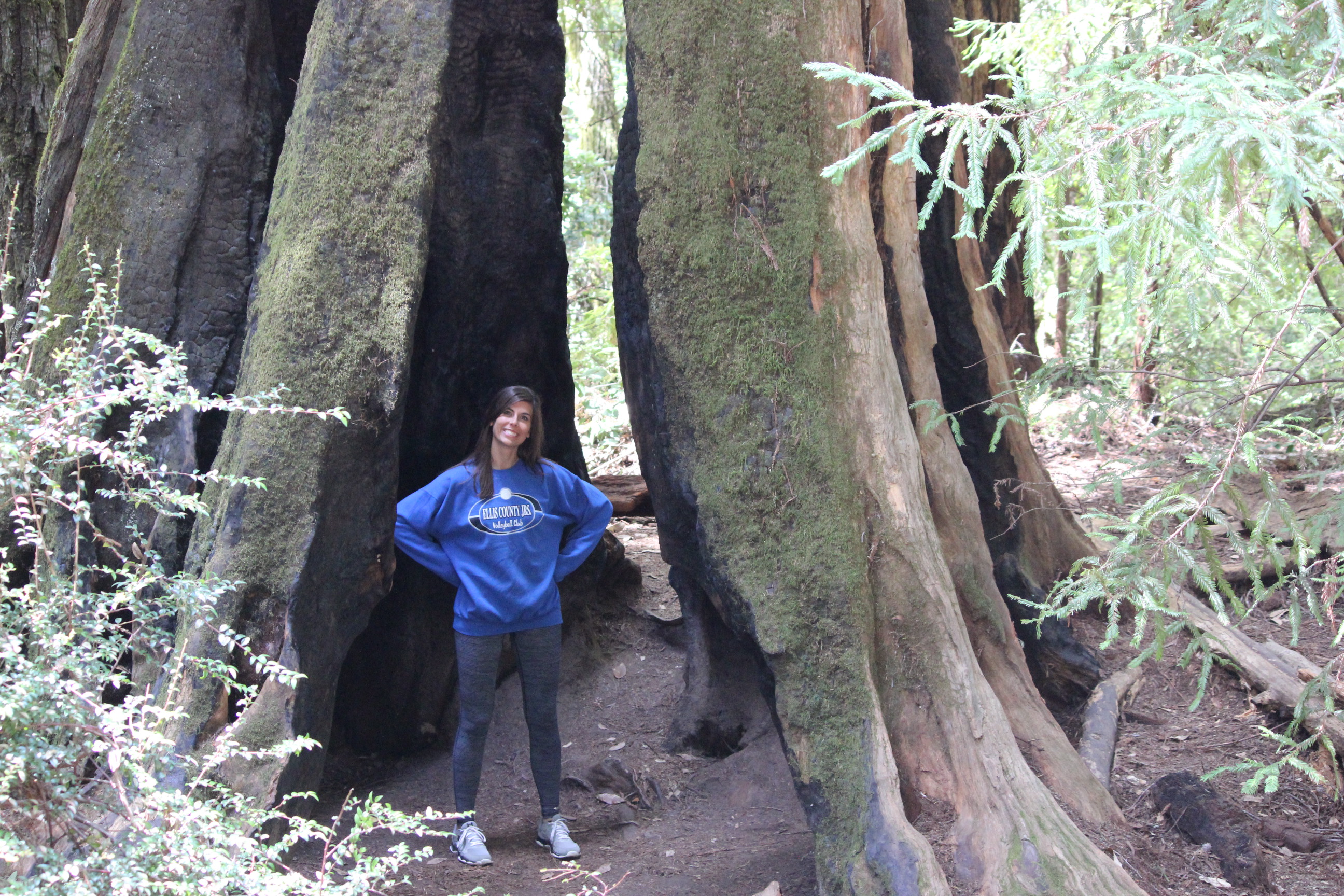 Big Basin 2015