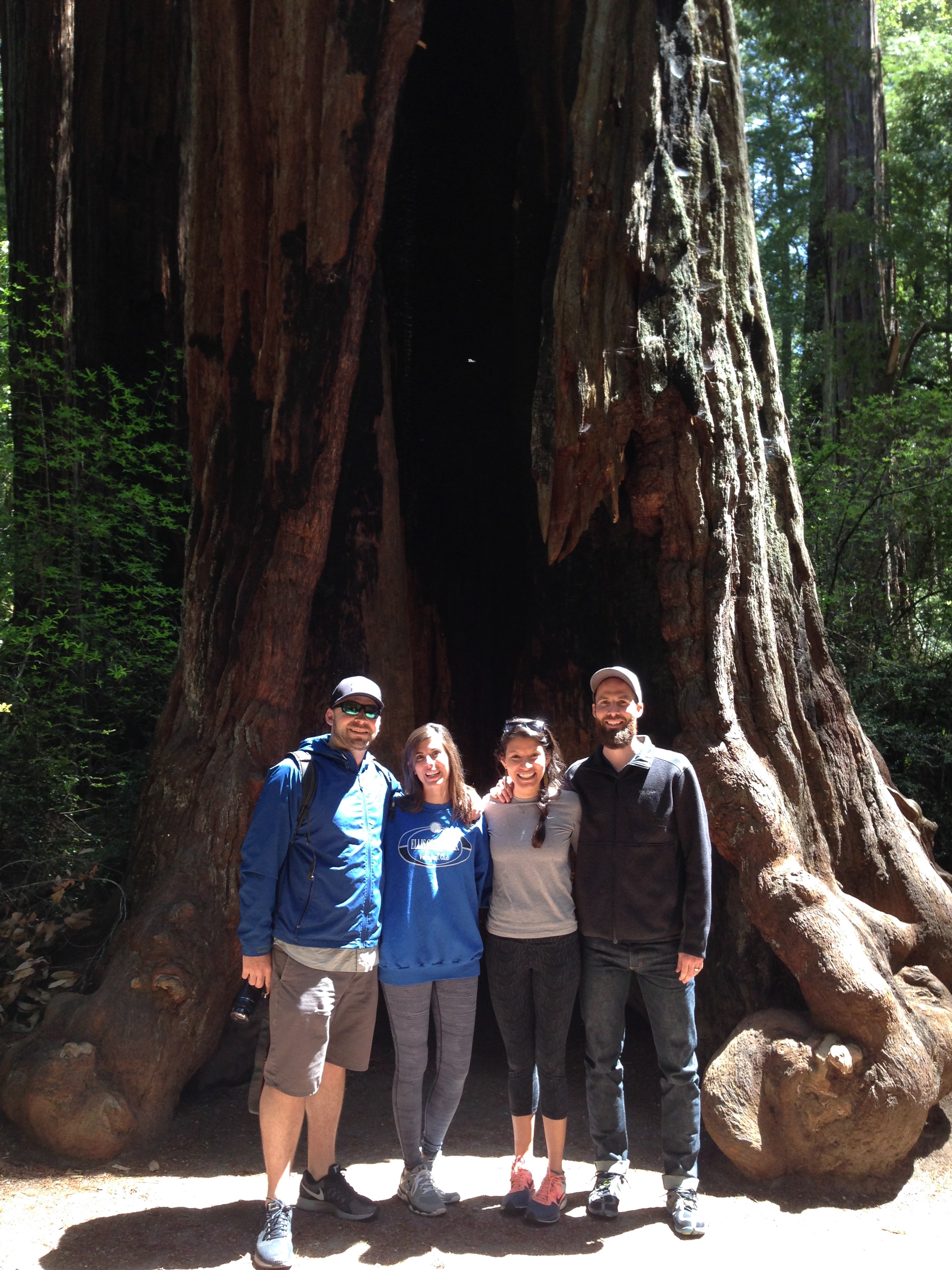 Big Basin 2015