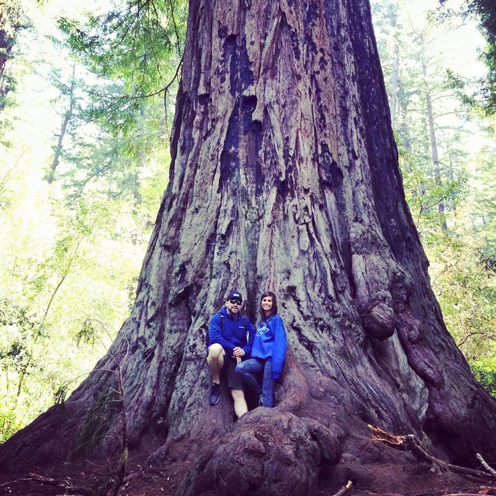 The father of the Redwoods, Big Basin 2015