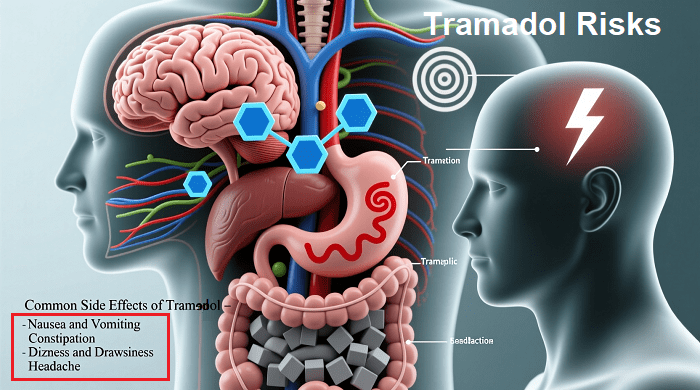 Tramadol Risks