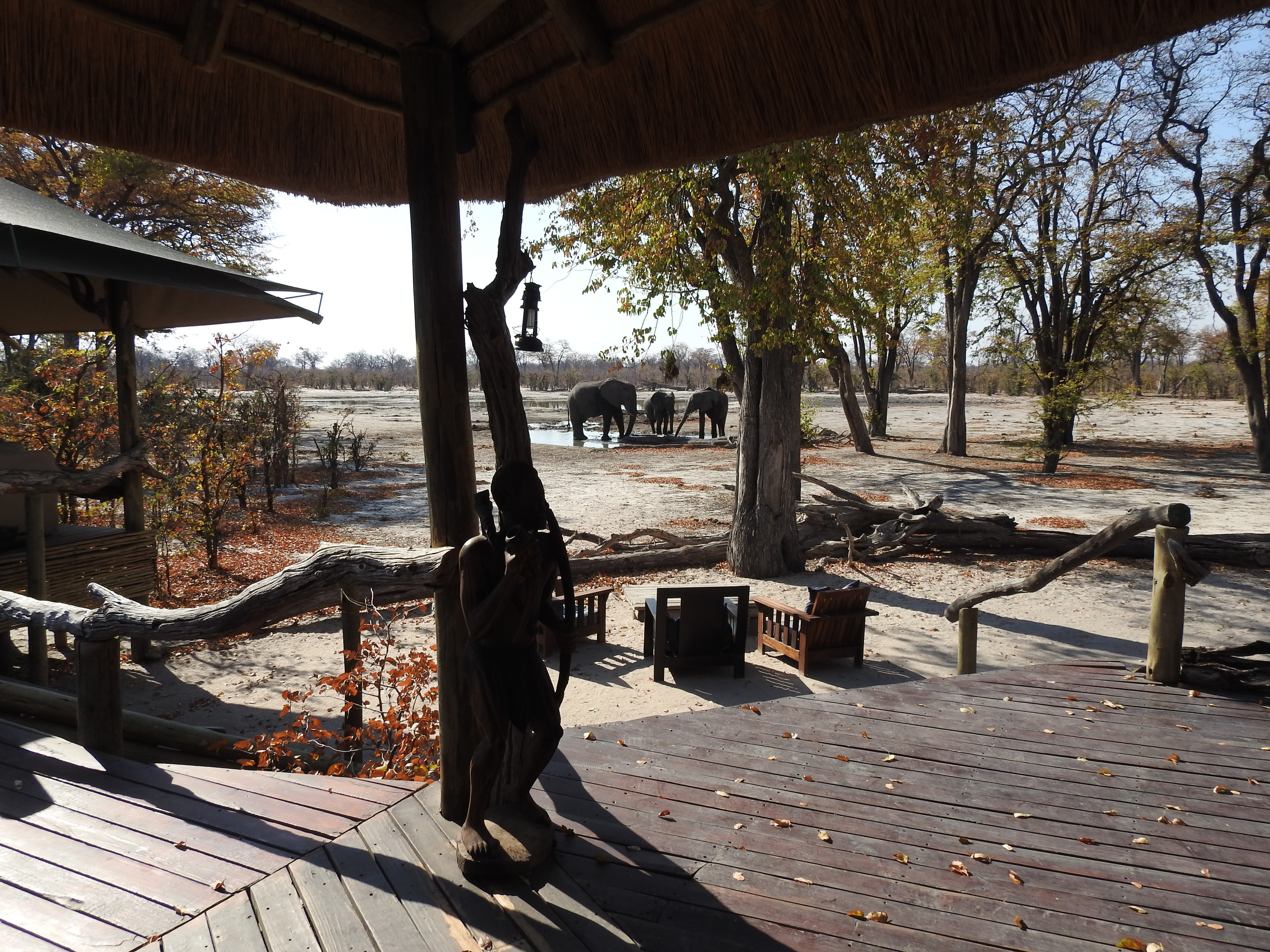 Immer was los am Wasserloch