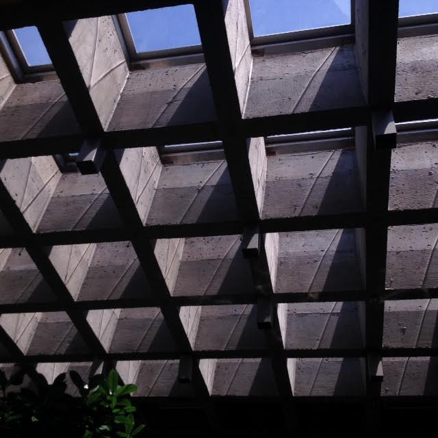 GAZA - an Environmental Catastrophe and Toxic Wasteland - Helena