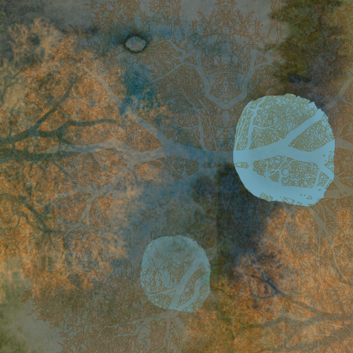autumn_leaf