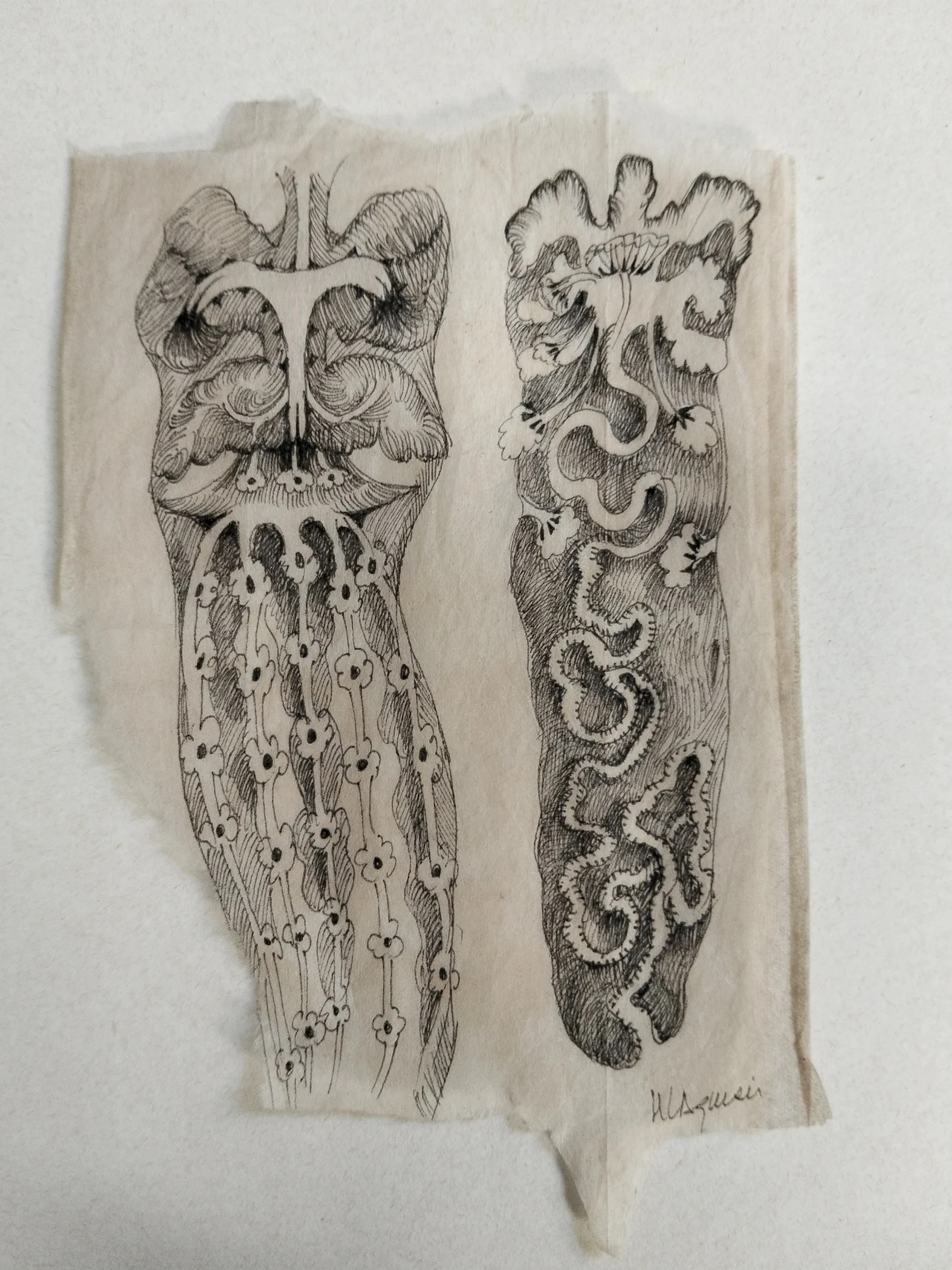 Dessin botanique imaginaire à l’encre sur papier de sachet de thé.