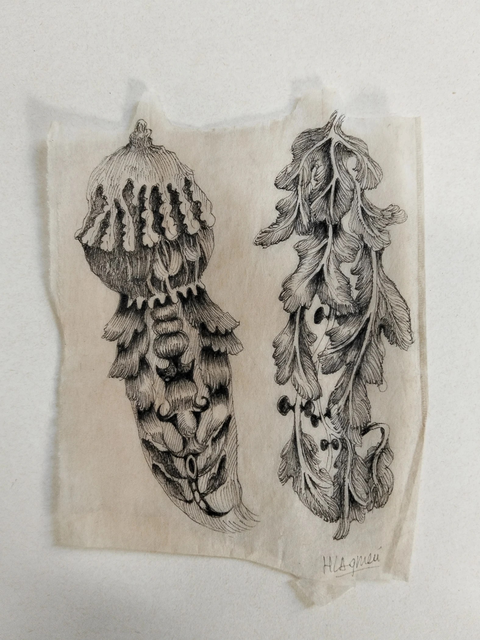 Formes végétales à l’encre sur papier infusé, aux plis et aux teintes naturels.