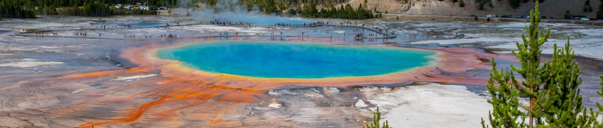 Environmental Microbial Source Tracking