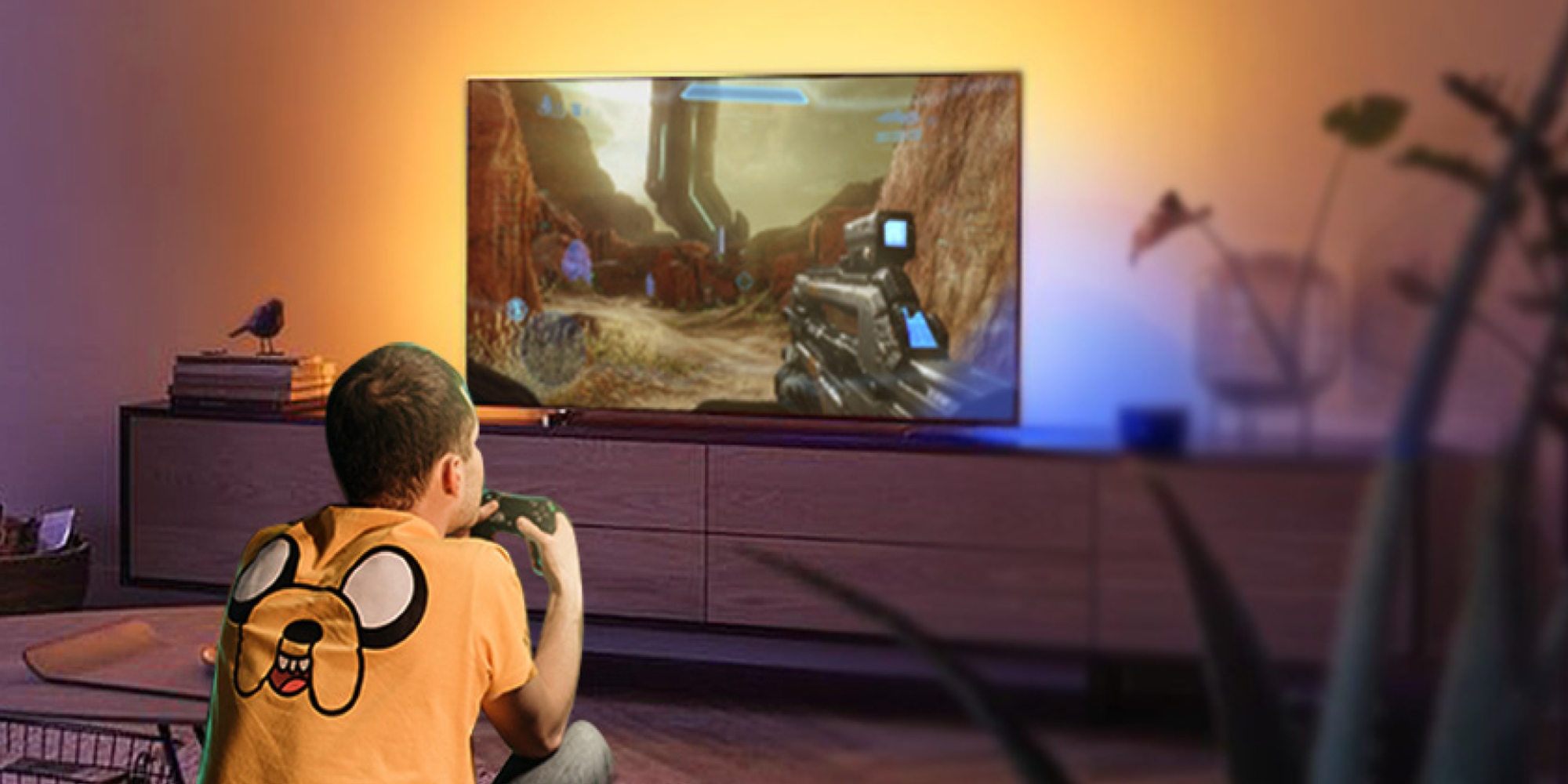 Rubans LED TV