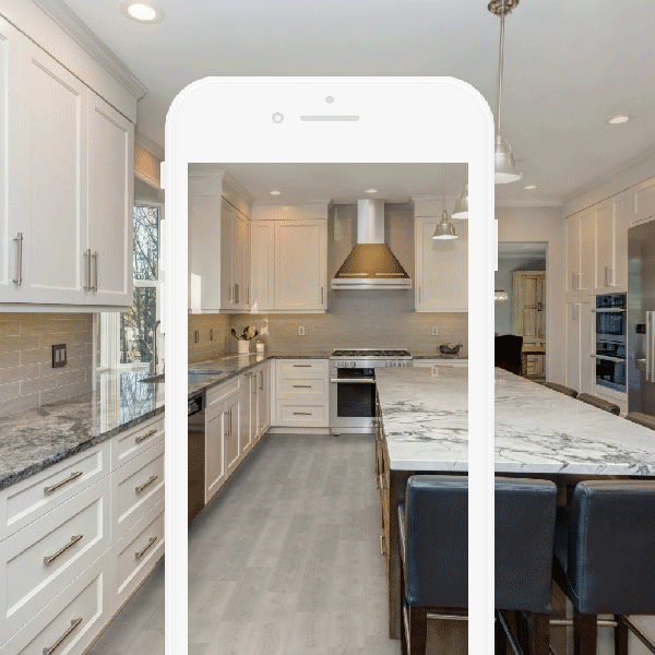 Feed Redfin - Nature Pictures - Ultra HD HD Collection