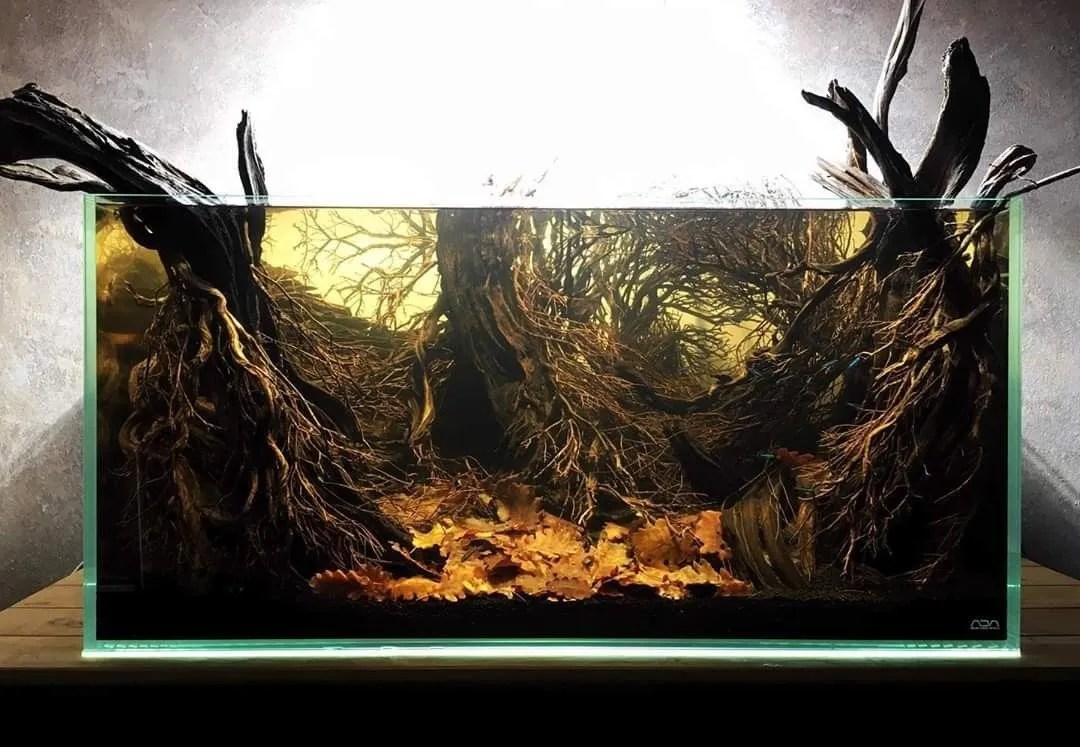 biotope