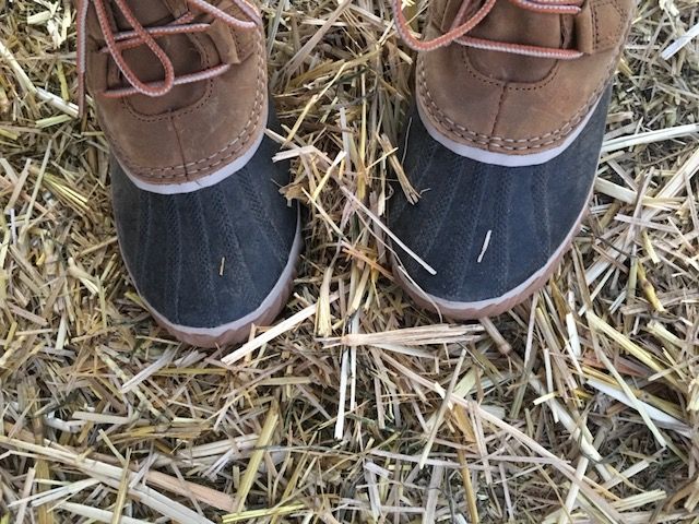 Sorel duck boots are a good choice for the dusty pumpkin patch