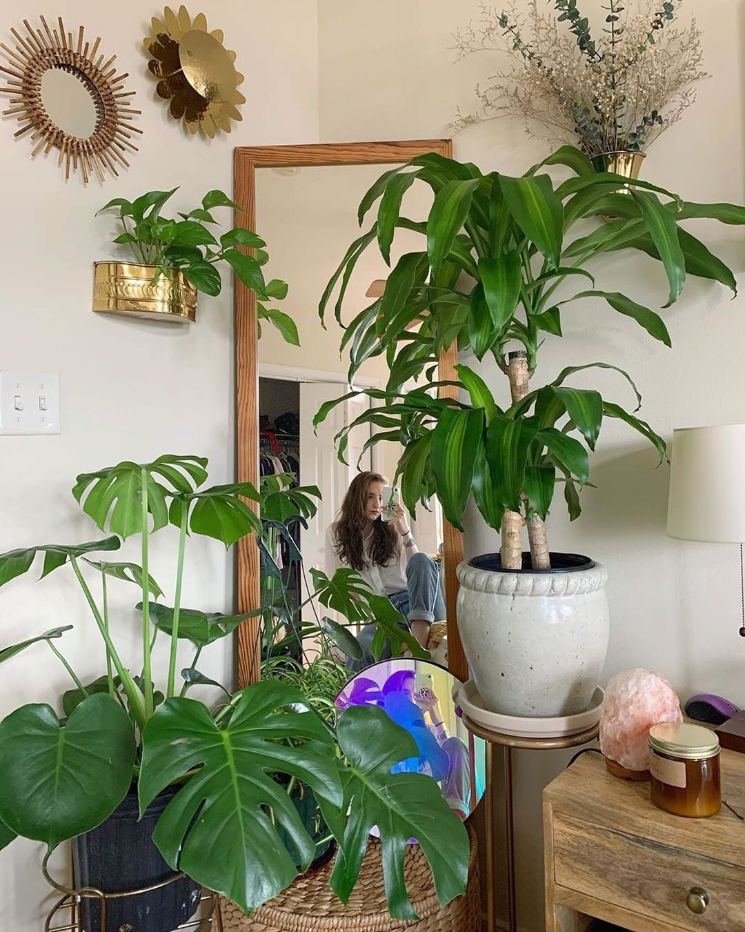 House Plant Decor Ideas