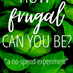 How frugal can you be? A no-spend experiment #frugalliving #extremefrugality #frugaltips #budgetingtips