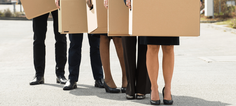 Member Recommended Internet Article:  Another New Provost?