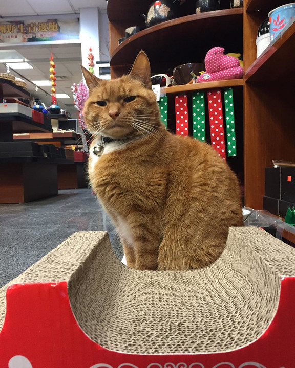 Fotó: Instagram (blikk.hu)